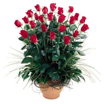  Aksaray uluslararası çiçek gönderme  10 adet kirmizi gül cam yada mika vazo