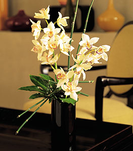  Aksaray iekiler  cam yada mika vazo ierisinde dal orkide