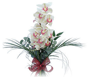  Aksaray iek siparii sitesi  Dal orkide ithal iyi kalite