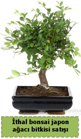 thal bonsai saks iei Japon aac sat  Aksaray nternetten iek siparii 