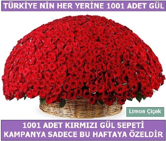 1001 Adet kırmızı gül Bu haftaya özel  Aksaray İnternetten çiçek siparişi 