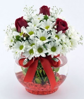 Fanusta 3 Gül ve Papatya  Aksaray internetten çiçek satışı 