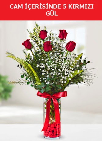 Cam içerisinde 5 adet kırmızı gül  Aksaray çiçek siparişi sitesi 