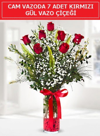 Cam vazoda 7 adet kırmızı gül çiçeği  Aksaray çiçek gönderme sitemiz güvenlidir 
