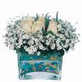mika ve beyaz gül renkli taslar   Aksaray çiçek satışı 