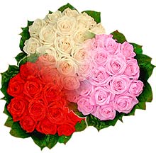 3 renkte gül seven sever   Aksaray çiçek , çiçekçi , çiçekçilik 