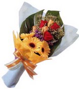 güller ve gerbera çiçekleri   Aksaray çiçek gönderme sitemiz güvenlidir 