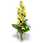  Aksaray İnternetten çiçek siparişi  cam vazo içerisinde tek dal canli orkide