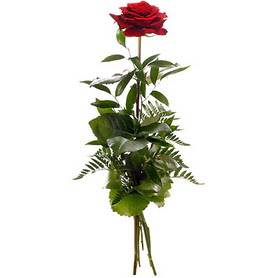 Aksaray online çiçekçi , çiçek siparişi  1 adet kırmızı gülden buket
