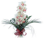  Aksaray çiçek siparişi sitesi  Dal orkide ithal iyi kalite