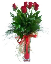 vazo içerisinde 5 kırmızı gül  Aksaray güvenli kaliteli hızlı çiçek 