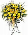  Aksaray yurtiçi ve yurtdışı çiçek siparişi  Sari kazablanka Ferforje