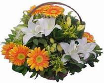  Aksaray online çiçekçi , çiçek siparişi  sepet modeli Gerbera kazablanka sepet
